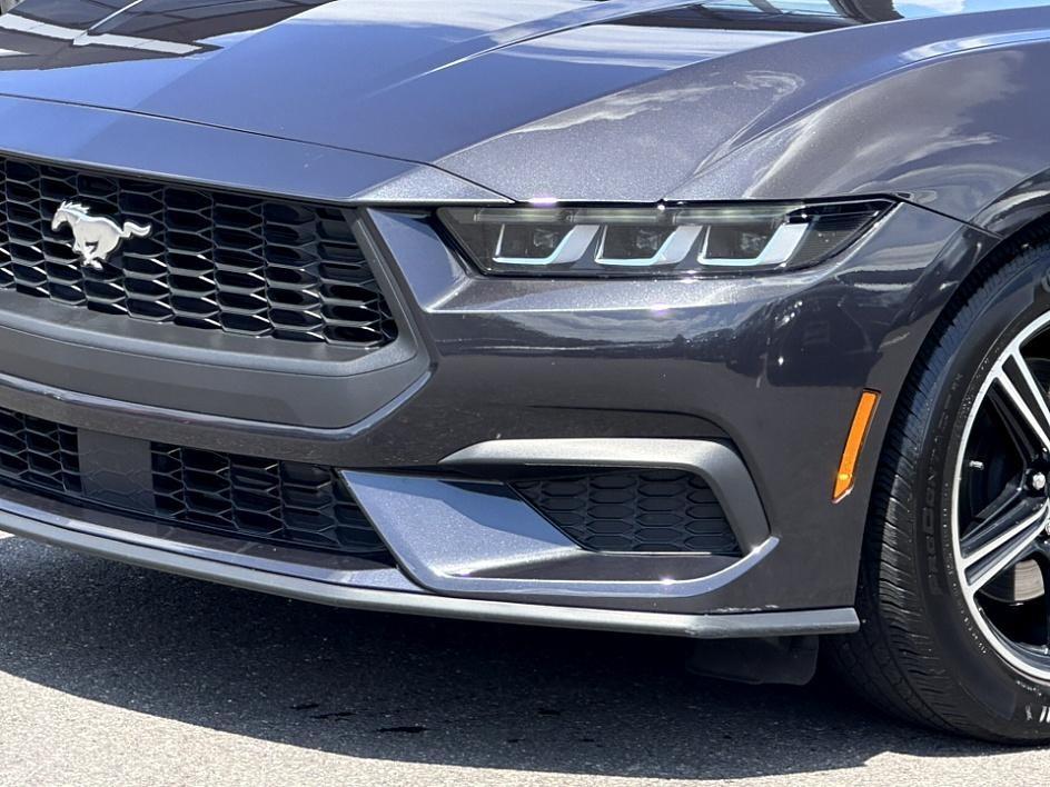 2024 Ford Mustang Photo in Silver Spring, MD 20904