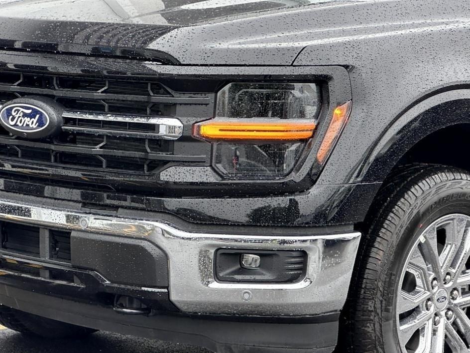 2024 Ford F-150 Photo in Silver Spring, MD 20904