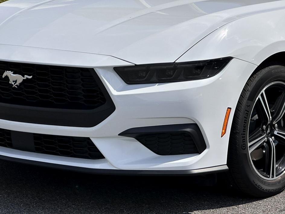 2025 Ford Mustang Photo in Silver Spring, MD 20904