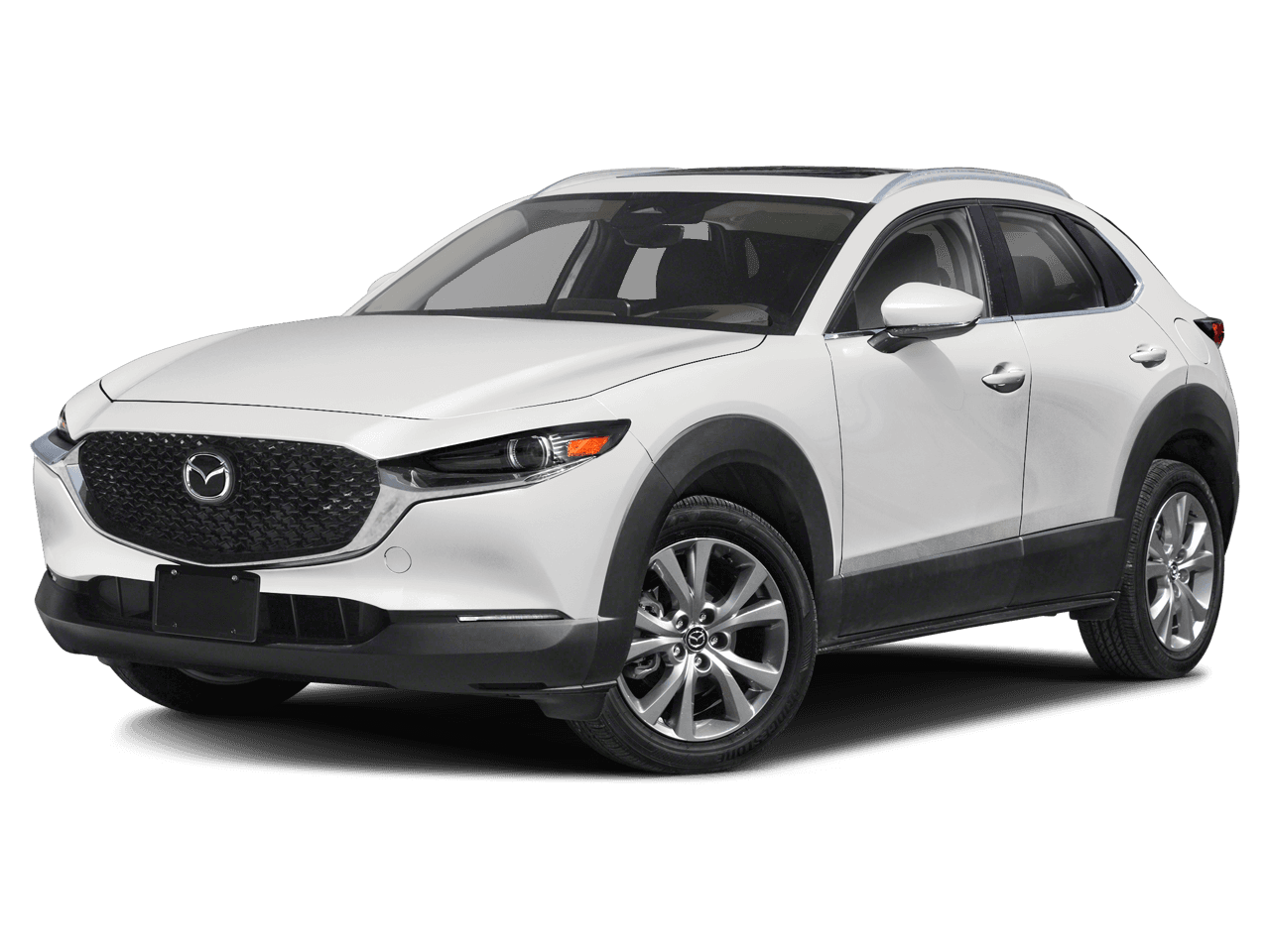 2025 Mazda CX-30 Photo in Silver Spring, MD 20904