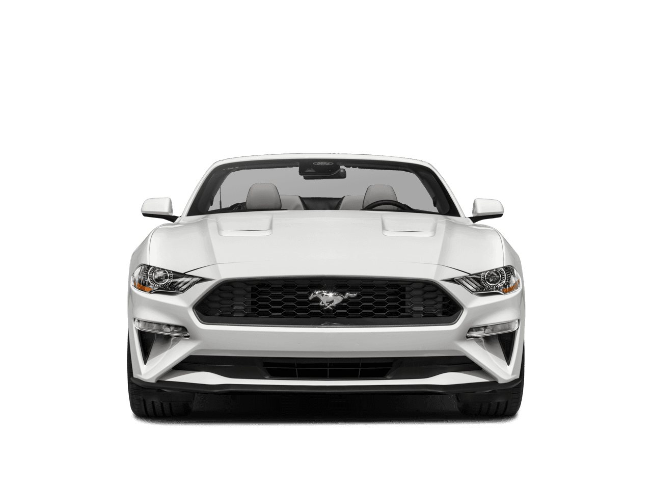2023 Ford Mustang Photo in Silver Spring, MD 20904