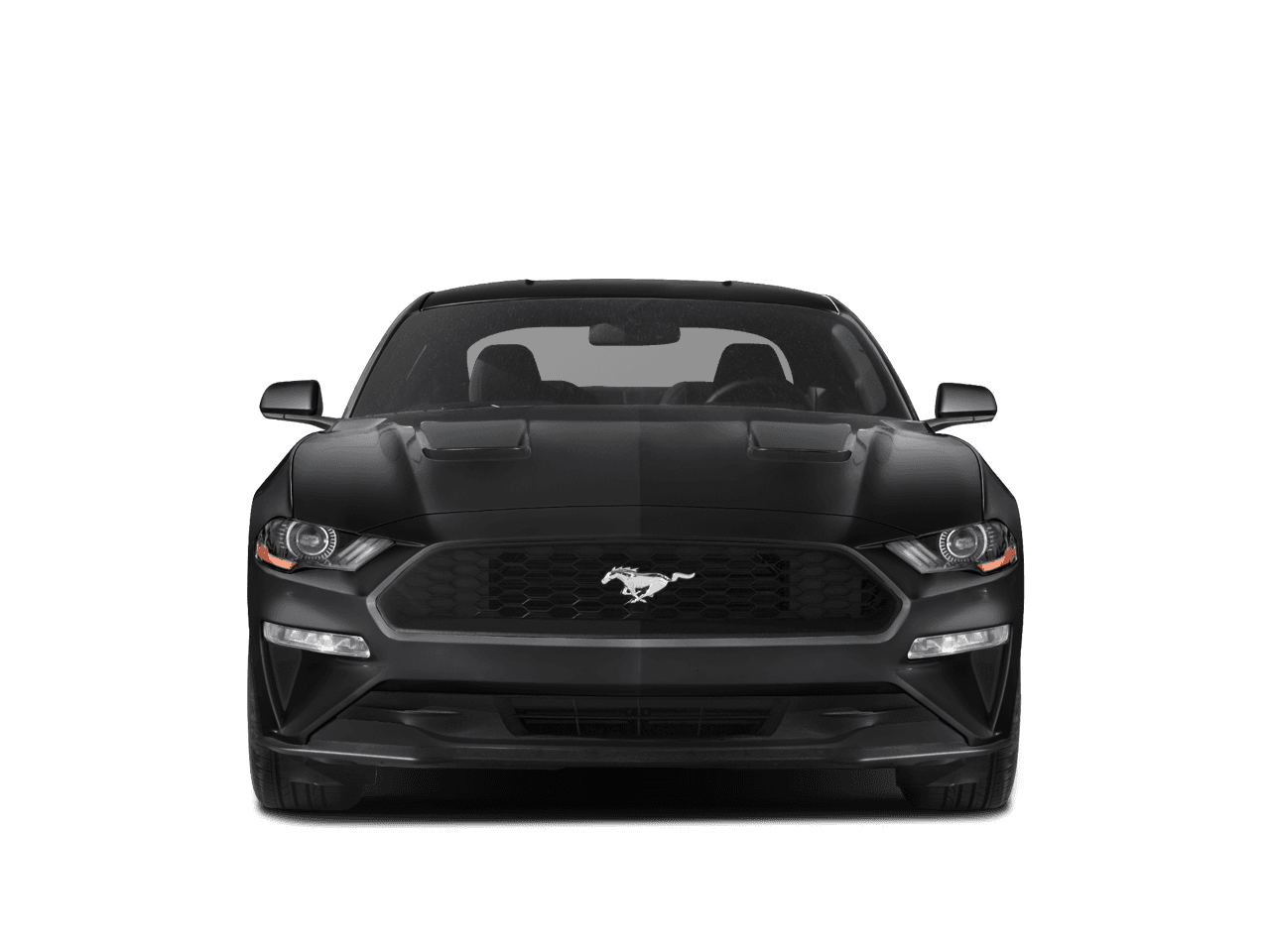 2019 Ford Mustang Photo in Silver Spring, MD 20904