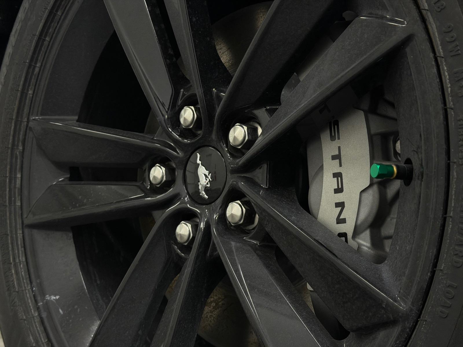 2026 Ford Mustang Photo in Silver Spring, MD 20904