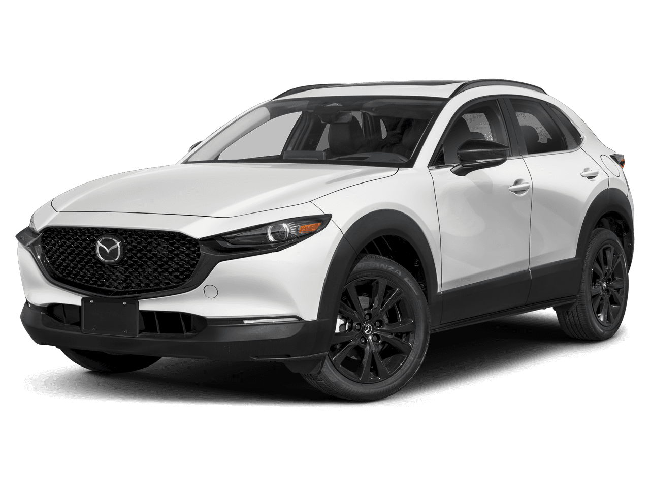 2025 Mazda CX-30 Photo in Silver Spring, MD 20904