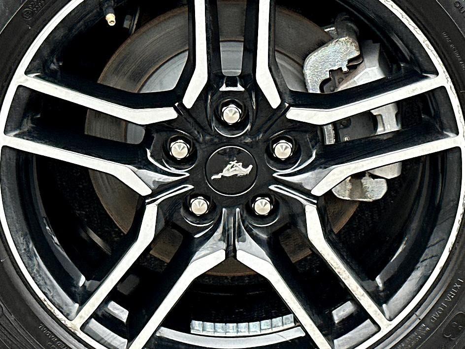 2023 Ford Mustang Photo in Silver Spring, MD 20904