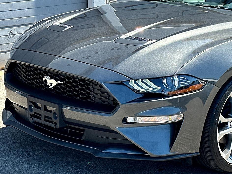 2019 Ford Mustang Photo in Silver Spring, MD 20904