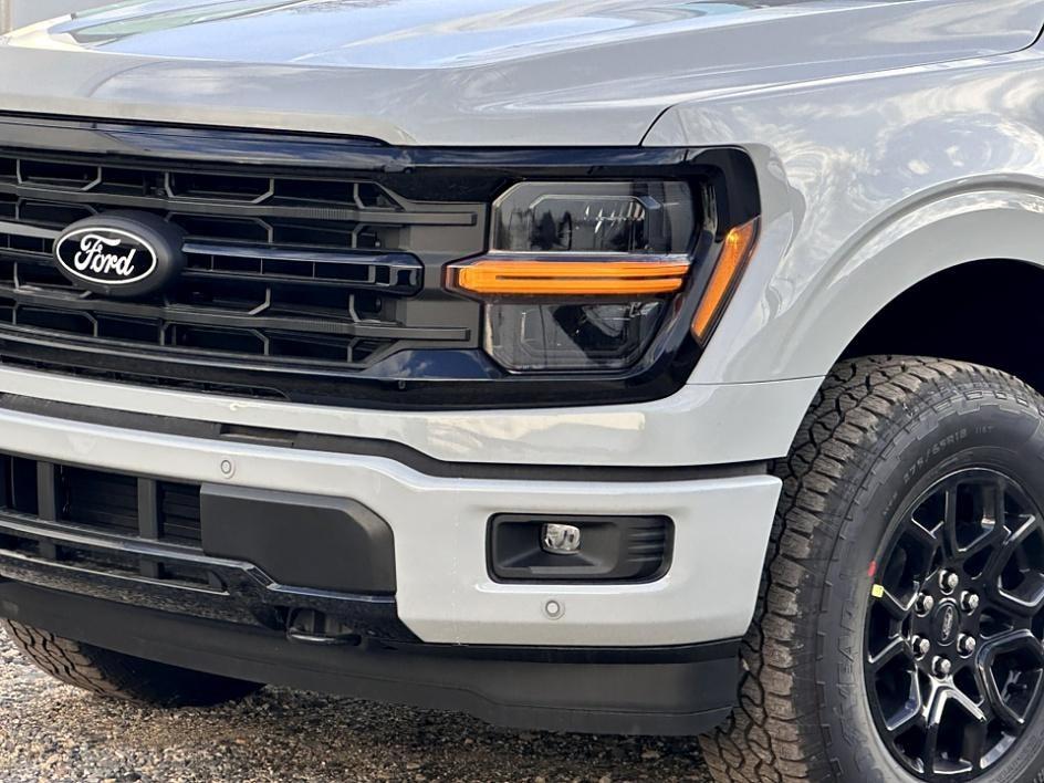 2024 Ford F-150 Photo in Silver Spring, MD 20904