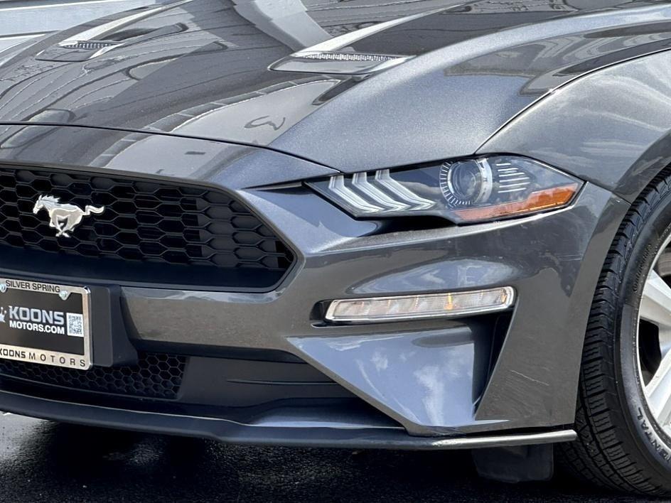 2019 Ford Mustang Photo in Silver Spring, MD 20904