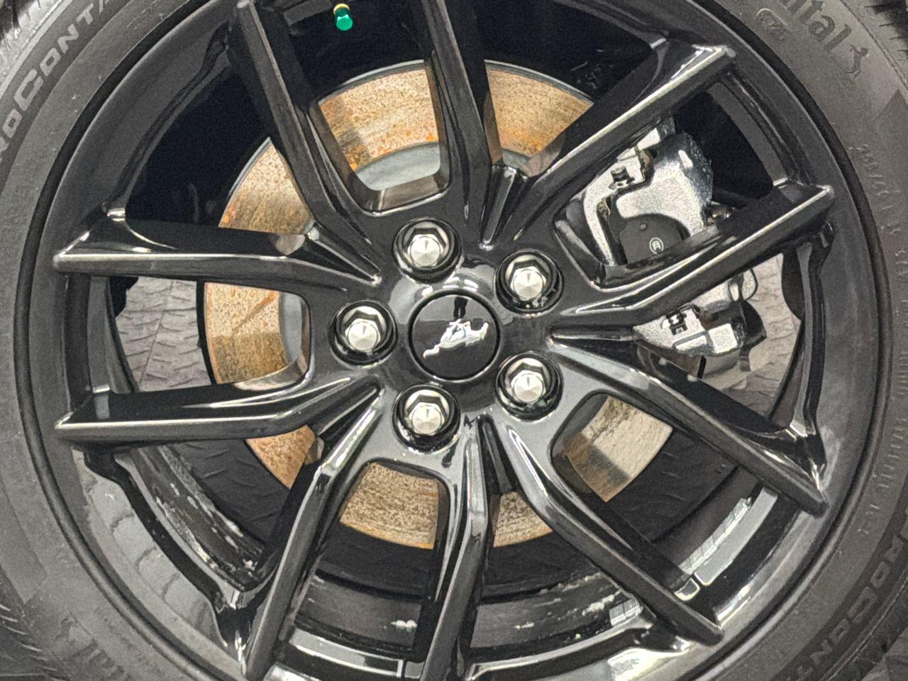 2026 Ford Mustang Photo in Silver Spring, MD 20904