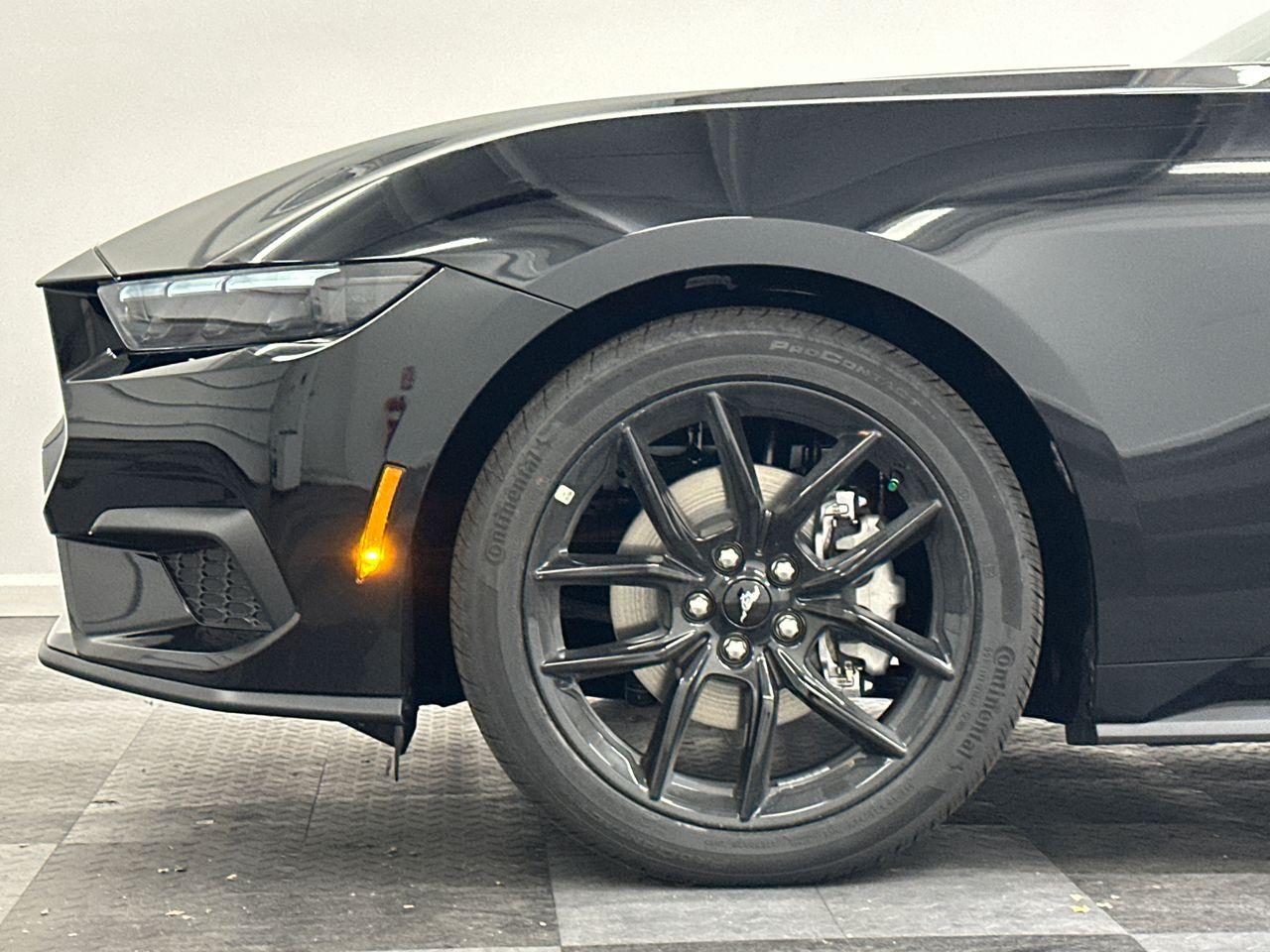 2026 Ford Mustang Photo in Silver Spring, MD 20904