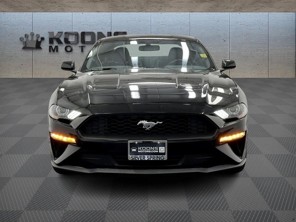 2019 Ford Mustang Photo in Bethesda, MD 20814