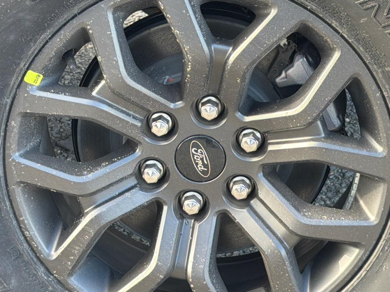 2025 Ford F-150 Photo in Silver Spring, MD 20904