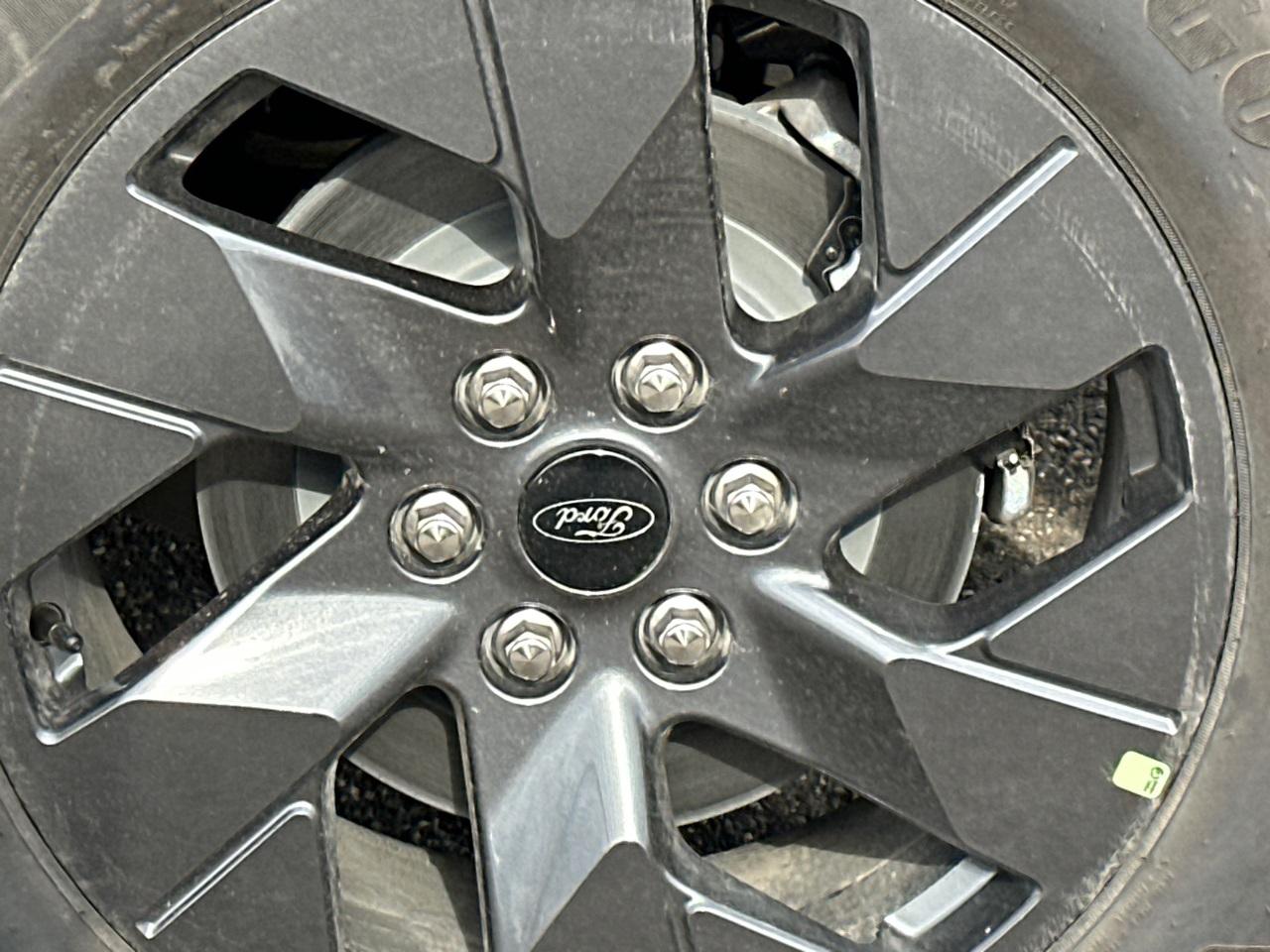 2025 Ford F-150 Lightning Photo in Silver Spring, MD 20904