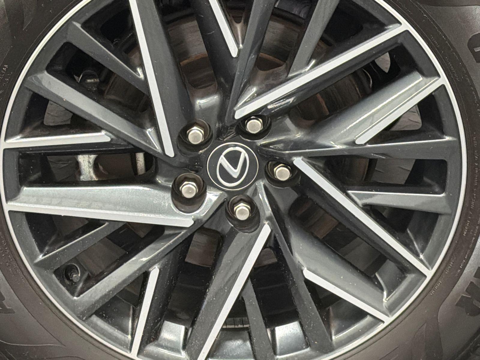 2024 Lexus TX Photo in Bethesda, MD 20814