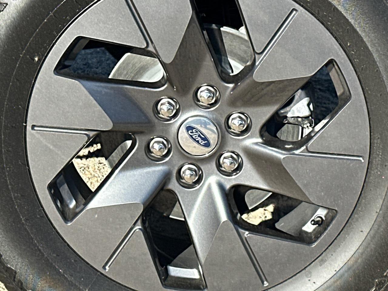 2025 Ford F-150 Photo in Silver Spring, MD 20904