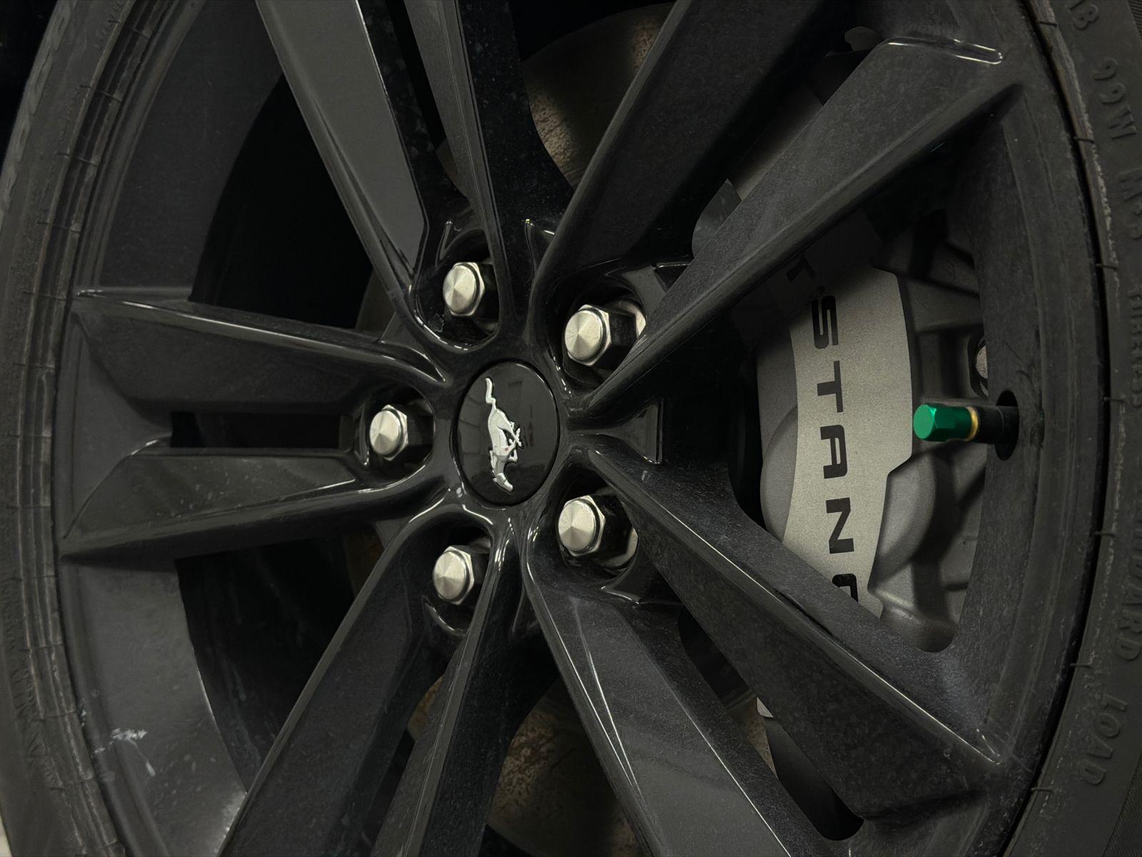 2026 Ford Mustang Photo in Silver Spring, MD 20904