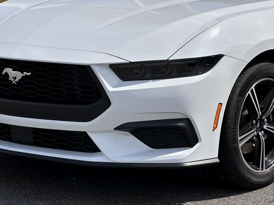2025 Ford Mustang Photo in Silver Spring, MD 20904
