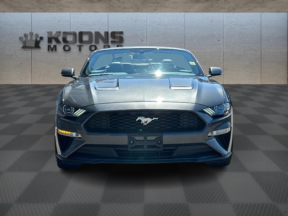 2019 Ford Mustang Photo in Silver Spring, MD 20904