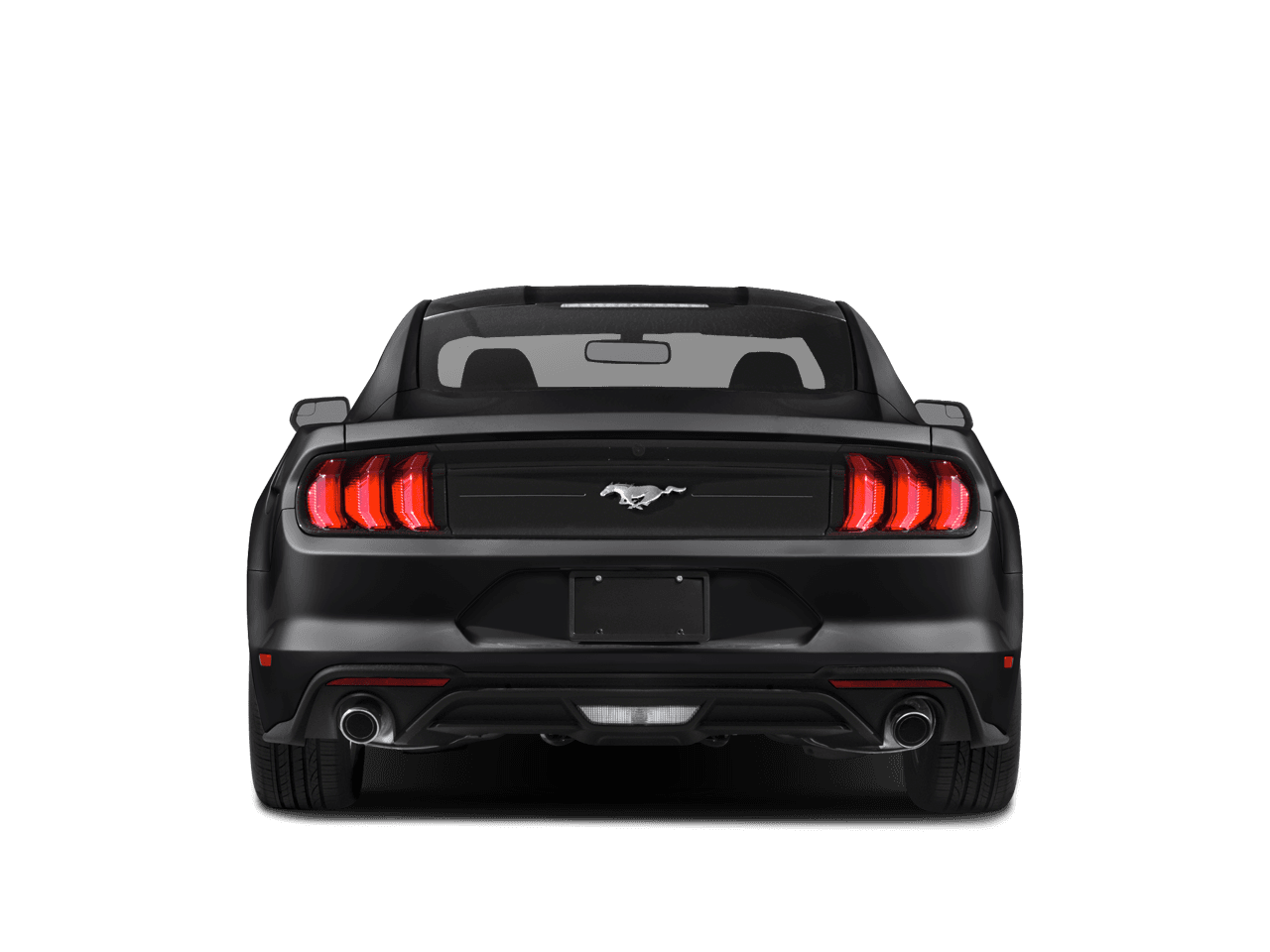 2019 Ford Mustang Photo in Silver Spring, MD 20904