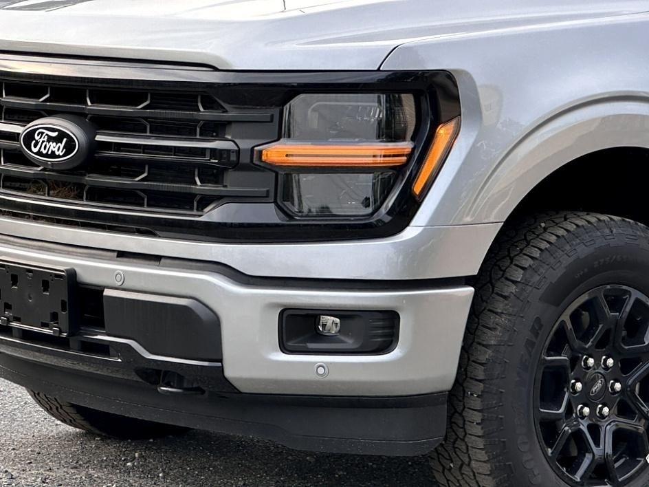 2025 Ford F-150 Photo in Silver Spring, MD 20904