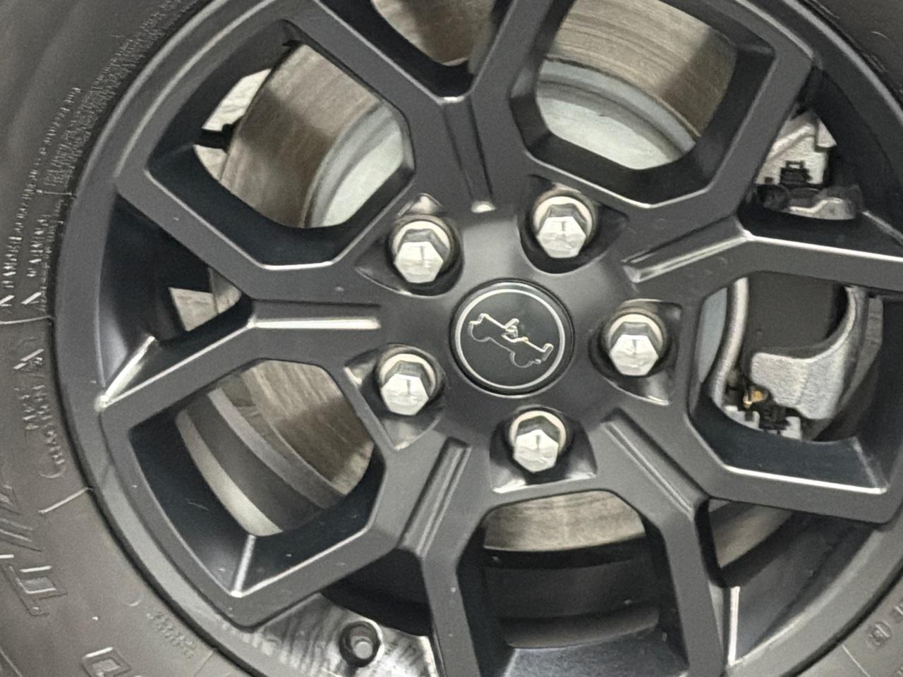 2024 Jeep Wrangler Photo in Silver Spring, MD 20904