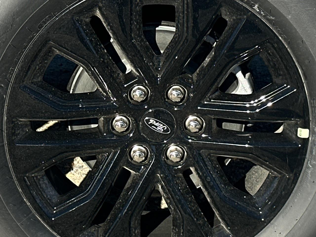 2025 Ford F-150 Photo in Silver Spring, MD 20904