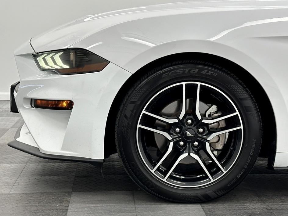 2021 Ford Mustang Photo in Bethesda, MD 20814