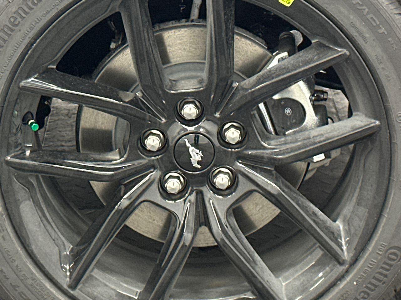 2026 Ford Mustang Photo in Silver Spring, MD 20904