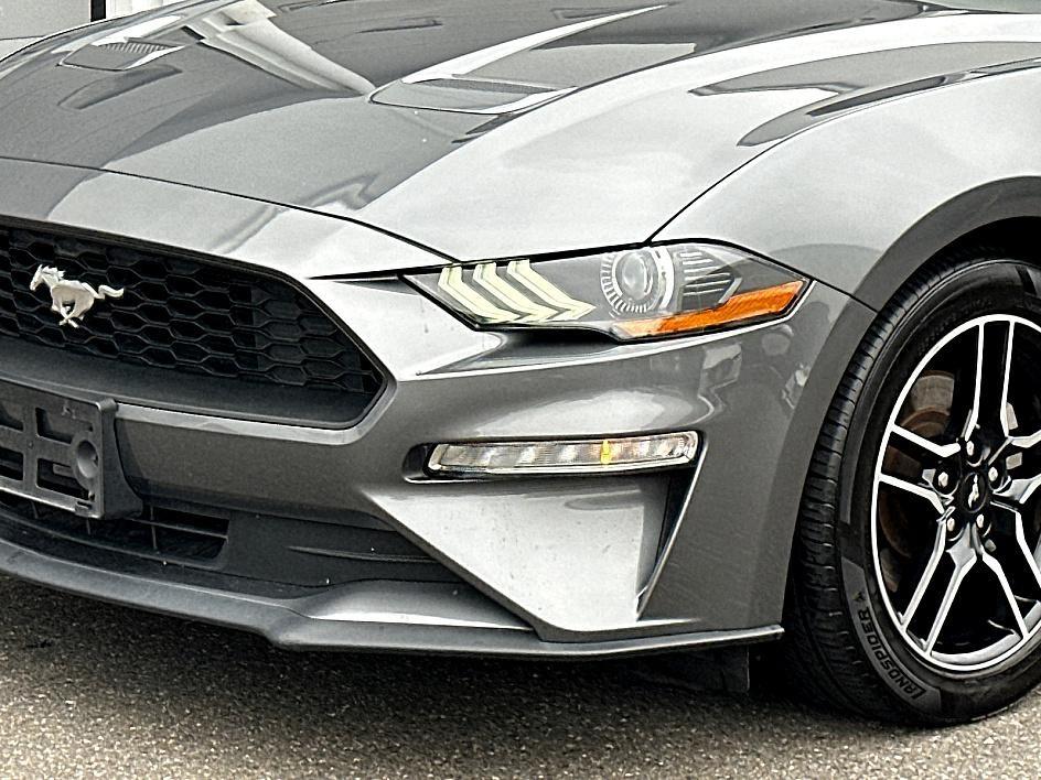 2023 Ford Mustang Photo in Silver Spring, MD 20904