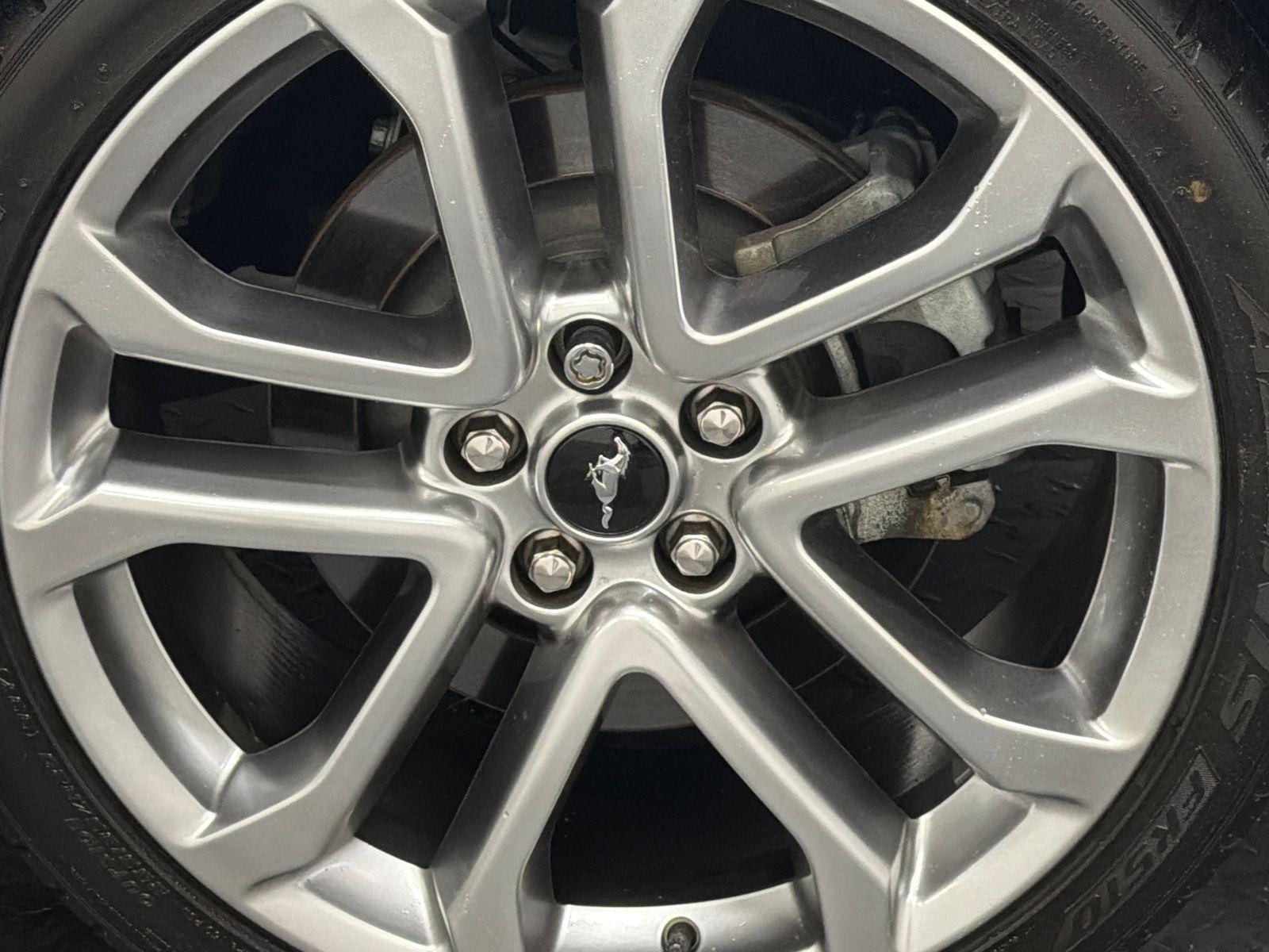 2021 Ford Mustang Photo in Silver Spring, MD 20904