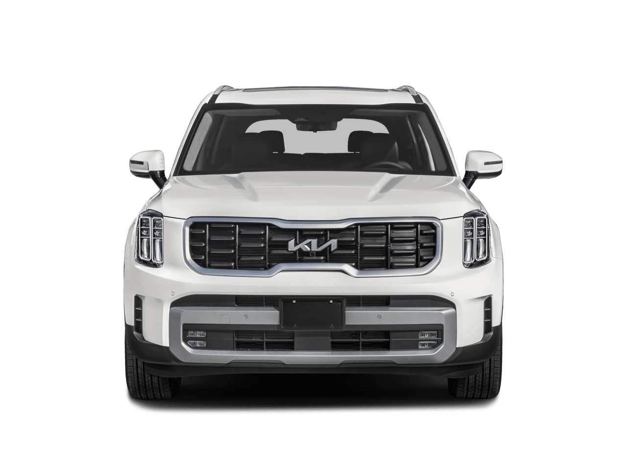 2024 Kia Telluride Photo in Bethesda, MD 20814