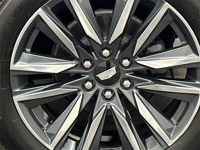 2021 Cadillac Escalade Photo in Bethesda, MD 20814