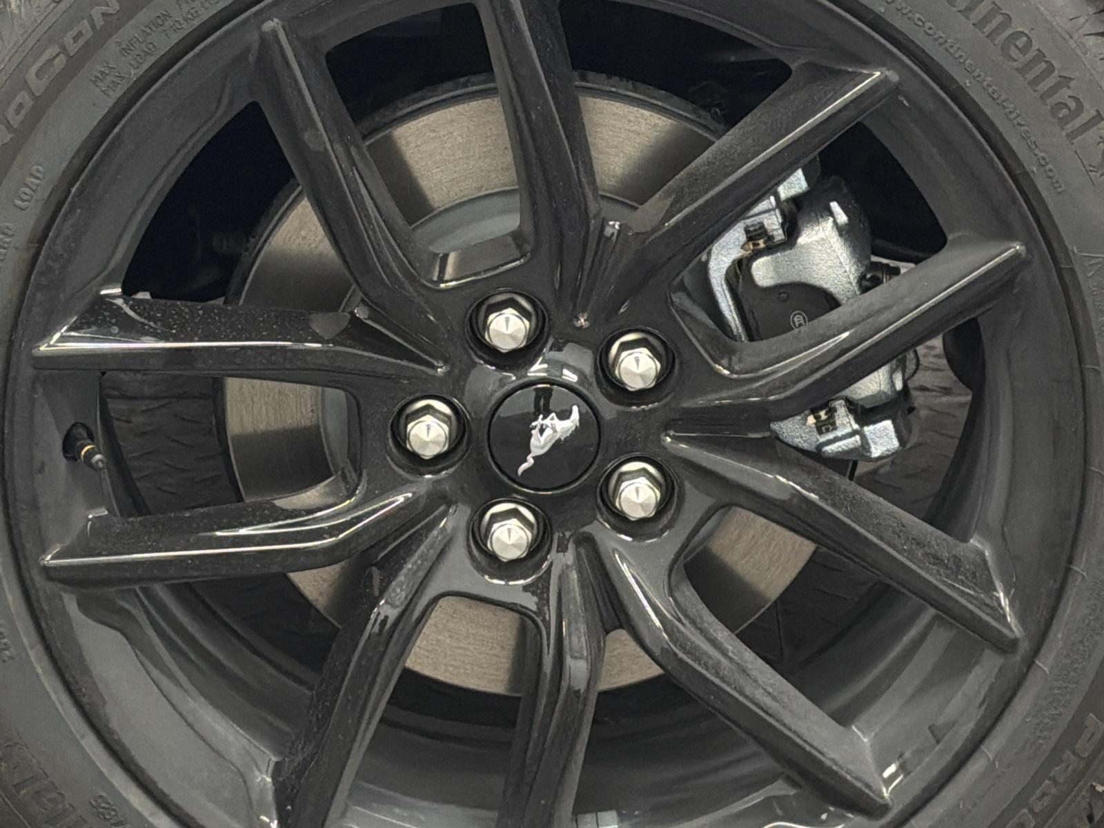 2026 Ford Mustang Photo in Silver Spring, MD 20904