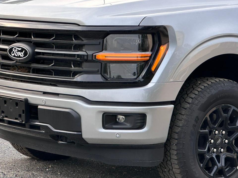 2025 Ford F-150 Photo in Silver Spring, MD 20904