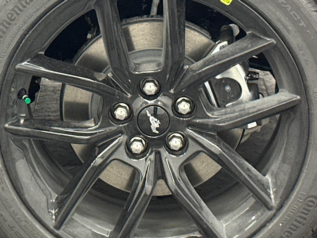 2026 Ford Mustang Photo in Silver Spring, MD 20904