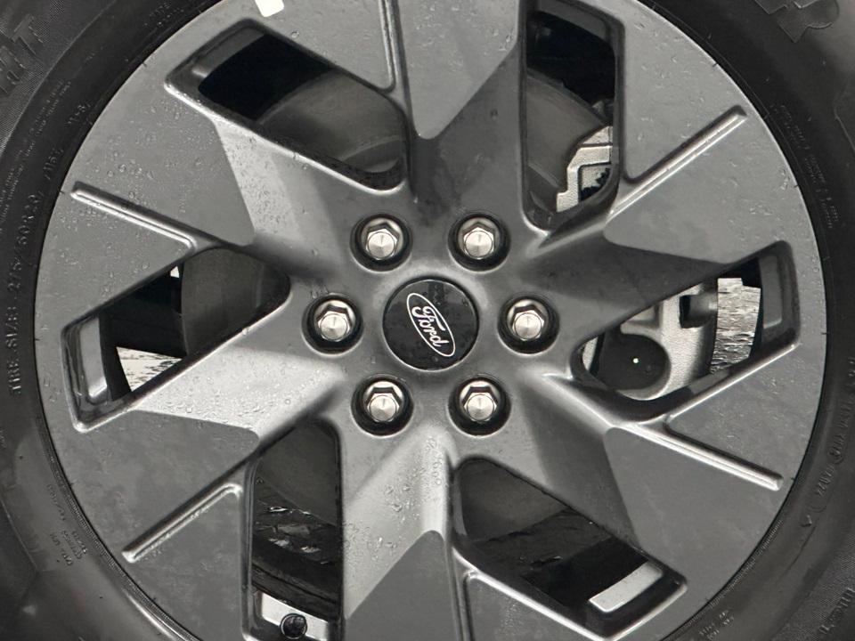 2025 Ford F-150 Lightning Photo in Silver Spring, MD 20904