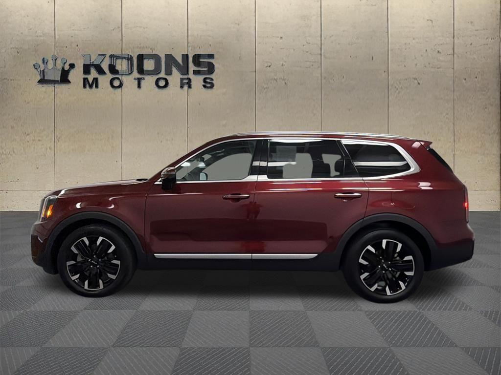 2024 Kia Telluride Photo in Bethesda, MD 20814