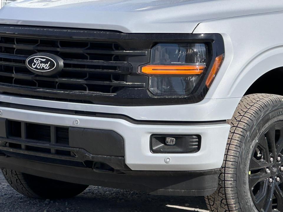 2025 Ford F-150 Photo in Silver Spring, MD 20904