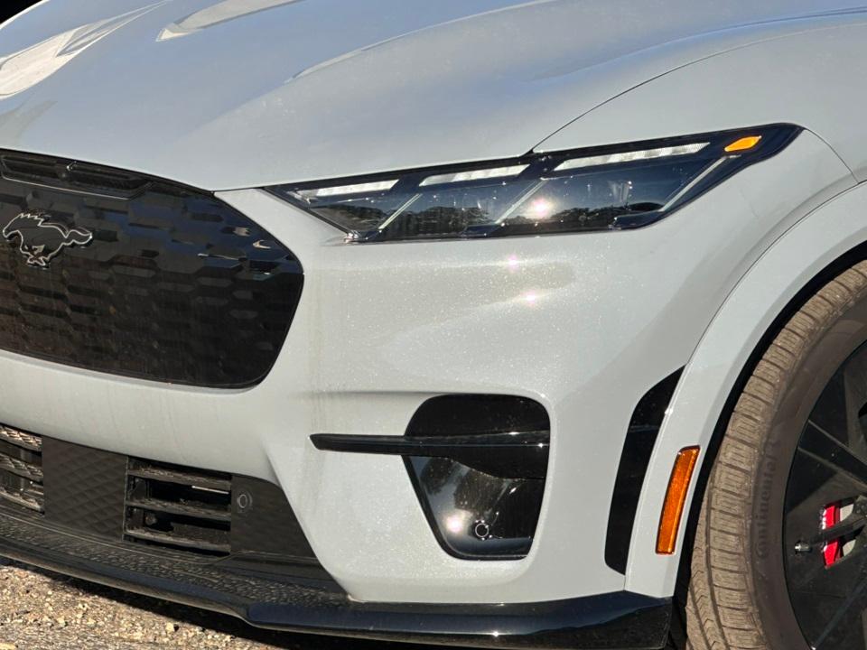 2025 Ford Mustang Mach-E Photo in Silver Spring, MD 20904