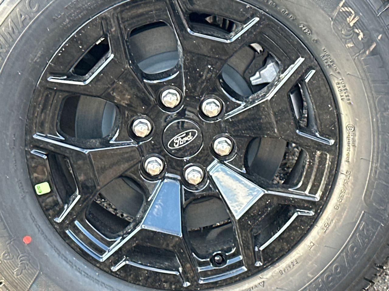 2025 Ford F-150 Lightning Photo in Silver Spring, MD 20904