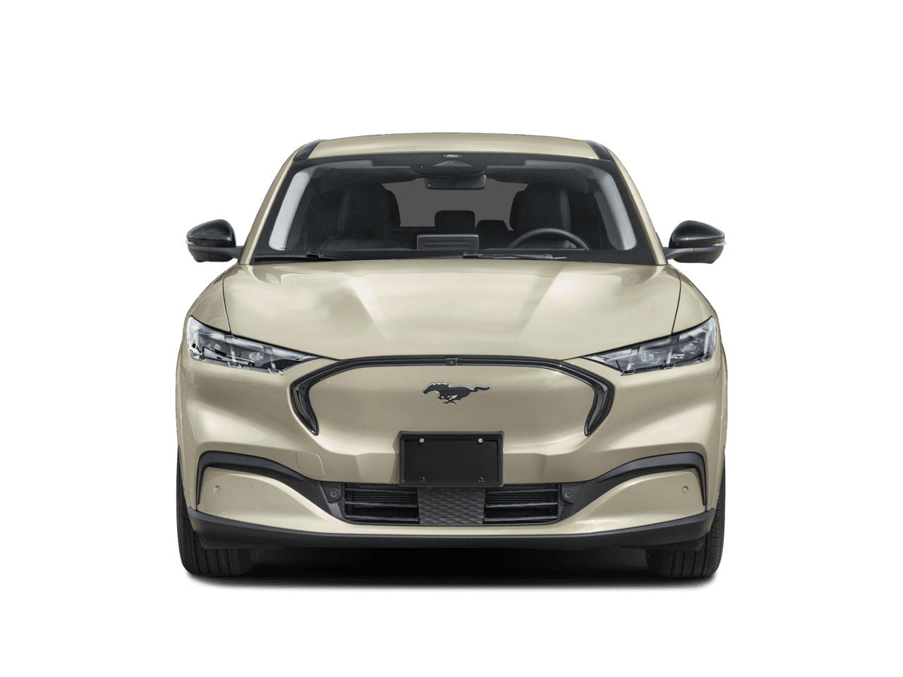 2026 Ford Mustang Mach-E Photo in Silver Spring, MD 20904