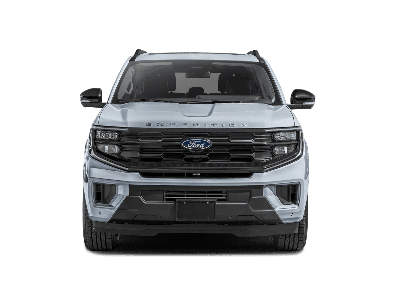 2025 Ford Expedition Photo in Silver Spring, MD 20904