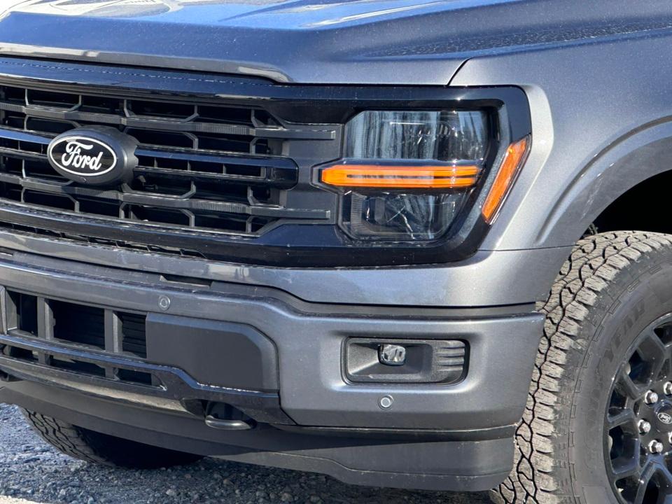 2025 Ford F-150 Photo in Silver Spring, MD 20904