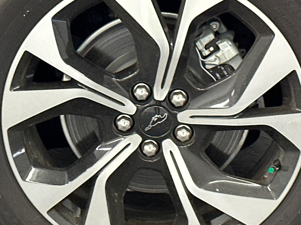 2024 Ford Mustang Mach-E Photo in Silver Spring, MD 20904