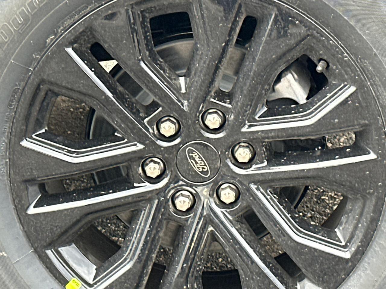 2025 Ford F-150 Photo in Silver Spring, MD 20904