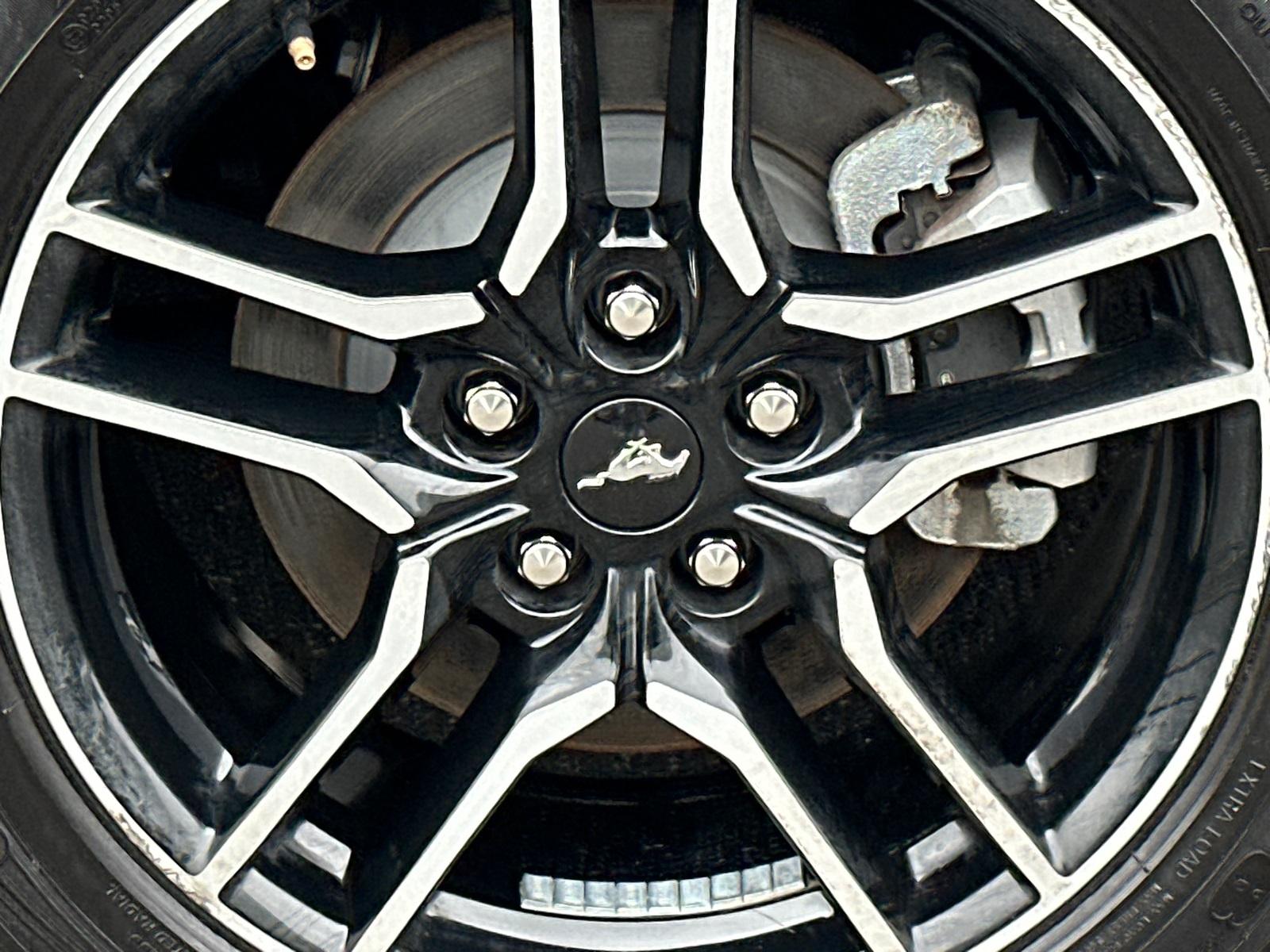 2023 Ford Mustang Photo in Silver Spring, MD 20904